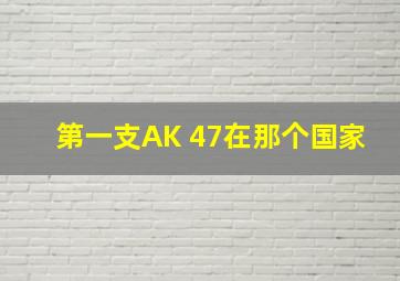 第一支AK 47在那个国家